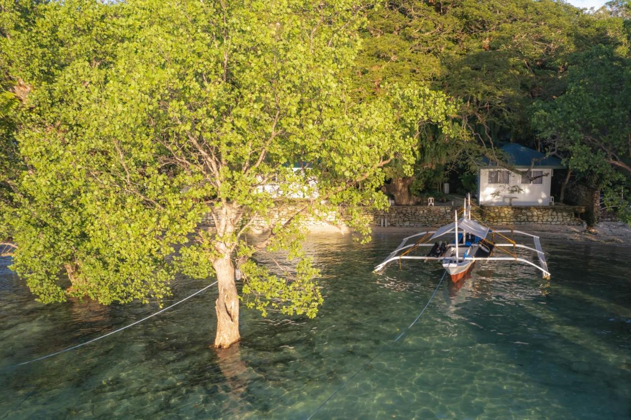 The Three P Beach Resort & Dive Center Agnay Dış mekan fotoğraf